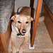 Holly Jackson Photo 17