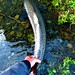 Jay Strayer Photo 7