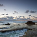 Byron Sharp Photo 23
