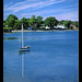 Victoria Oaks Photo 15