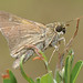 Michael Hoke Photo 33