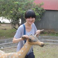 Nhu Trinh Photo 9
