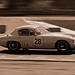 Timothy Healey Photo 6