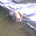 Jeff Crick Photo 6