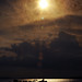 Joyce Kish Photo 6