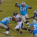 Willis Anderson Photo 16