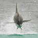 Chance Hunt Photo 15