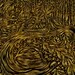 Cathy Ward Photo 15