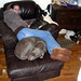 Heather Welsh Photo 8