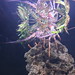 Michael Motes Photo 26