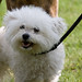 Sue Mayhew Photo 9