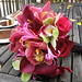 Susan Yee Photo 19