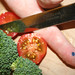 Tina Broccoli Photo 8
