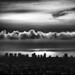Alfred Rodriguez Photo 10