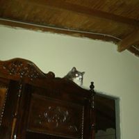 Martha Olarte Photo 10