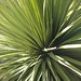 Joshua Altman Photo 14