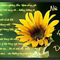 Ngoc Do Photo 40
