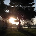 Dawn Hedrick Photo 13