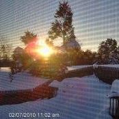 Tracy Rutledge Photo 19