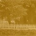 Mary Mcphail Photo 19