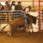 Scott Richardson Photo 40