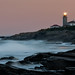Kenneth Wicks Photo 7