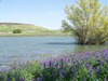 Allen Martin Photo 12