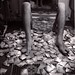Emily Levy Photo 22