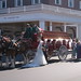 Kathryn Busch Photo 8