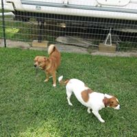 Brenda Nettles Photo 16
