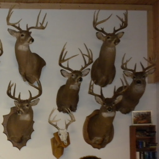 Drew Mathews Photo 31