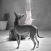 Claudia Pepping Photo 5