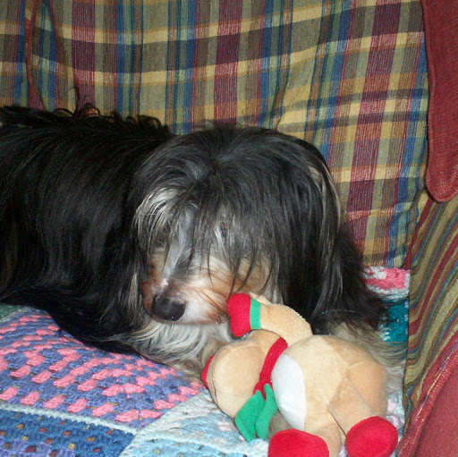 Maggie Goodwin Photo 29