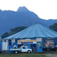 Tom Hinds Photo 24