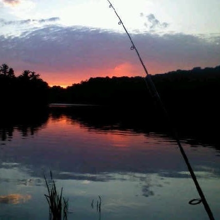 Jeff Herman Photo 25
