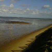 Sandy Borges Photo 11