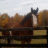 Elizabeth Lavin Photo 29