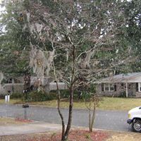 Donna Matlock Photo 12