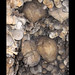 Martin Bone Photo 13