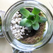 Heidi Dyer Photo 22