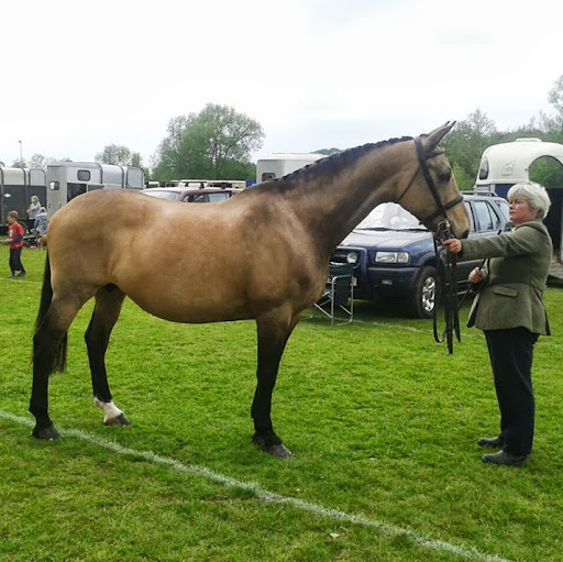 Sue Wilkinson Photo 29