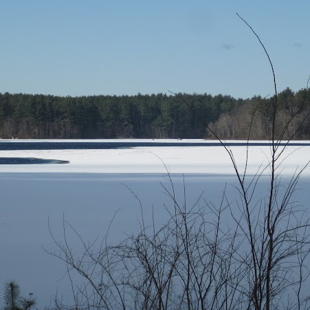 Jason Mccarthy Photo 23
