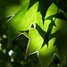 Michael Luce Photo 9