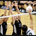 Allison Monahan Photo 9
