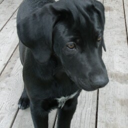 Ellen Bush Photo 22