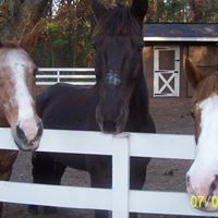 Marie Fogarty Photo 8