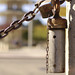 Ken Lock Photo 27