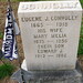 Jerry Connolly Photo 21