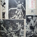Thomas Tolbert Photo 21