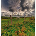 Eric Jolly Photo 23